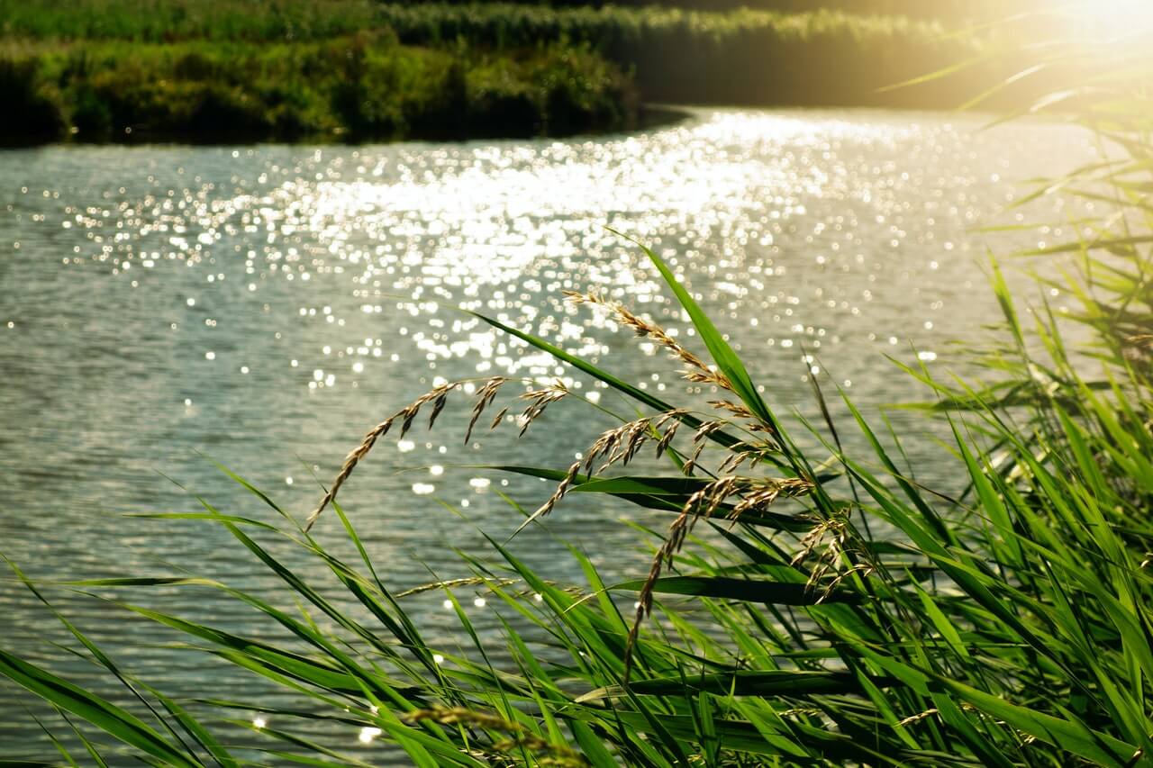 water safety tips