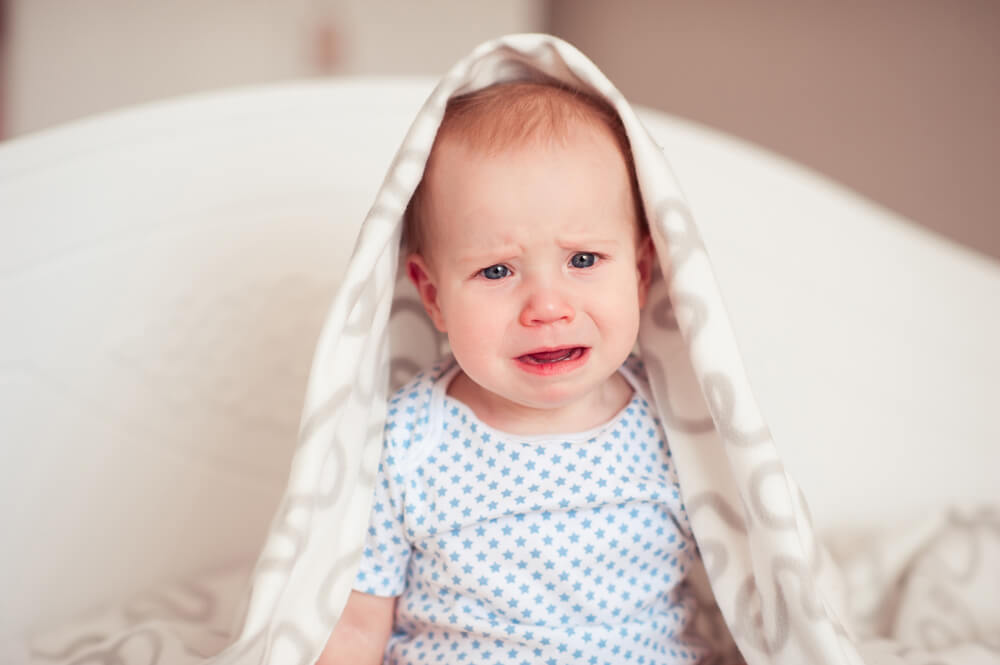 food for 8 month old baby