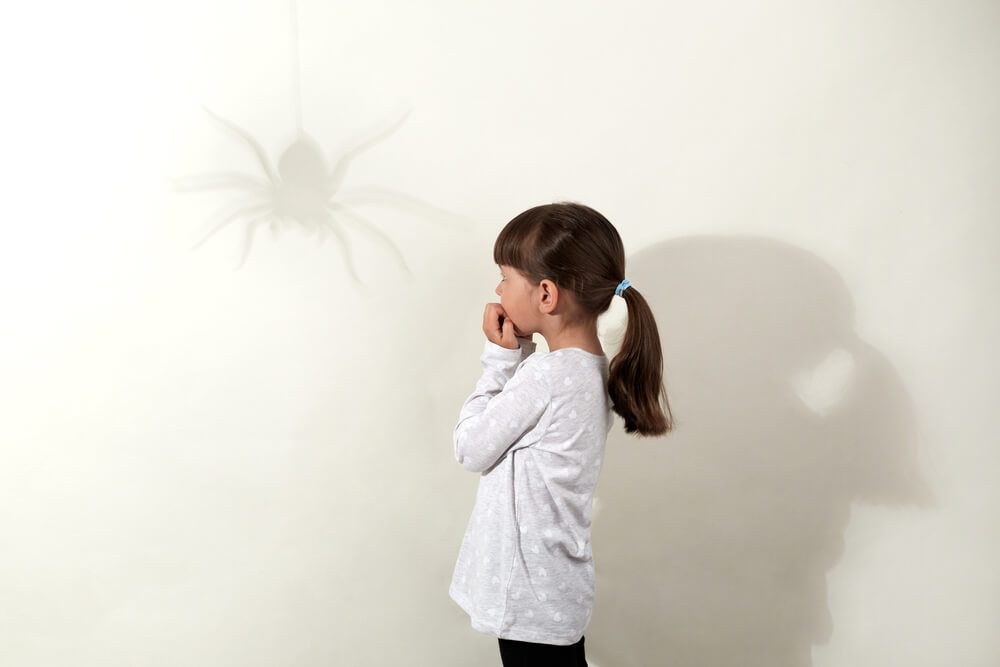 fear of insects