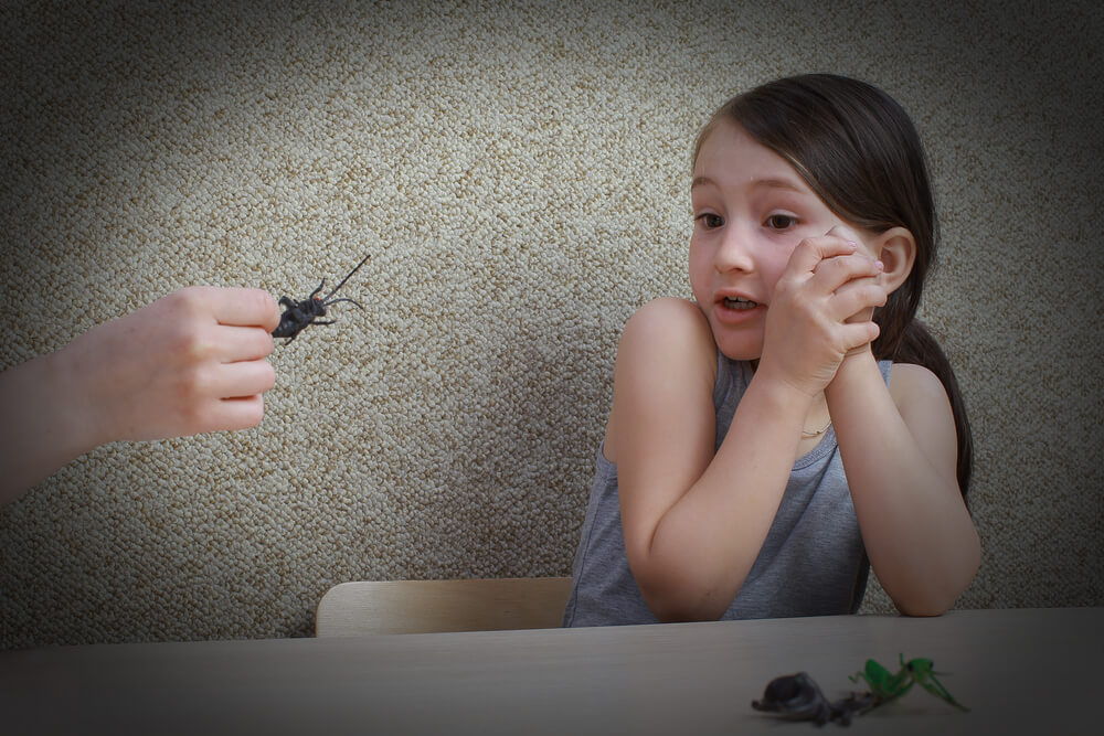 fear of bugs