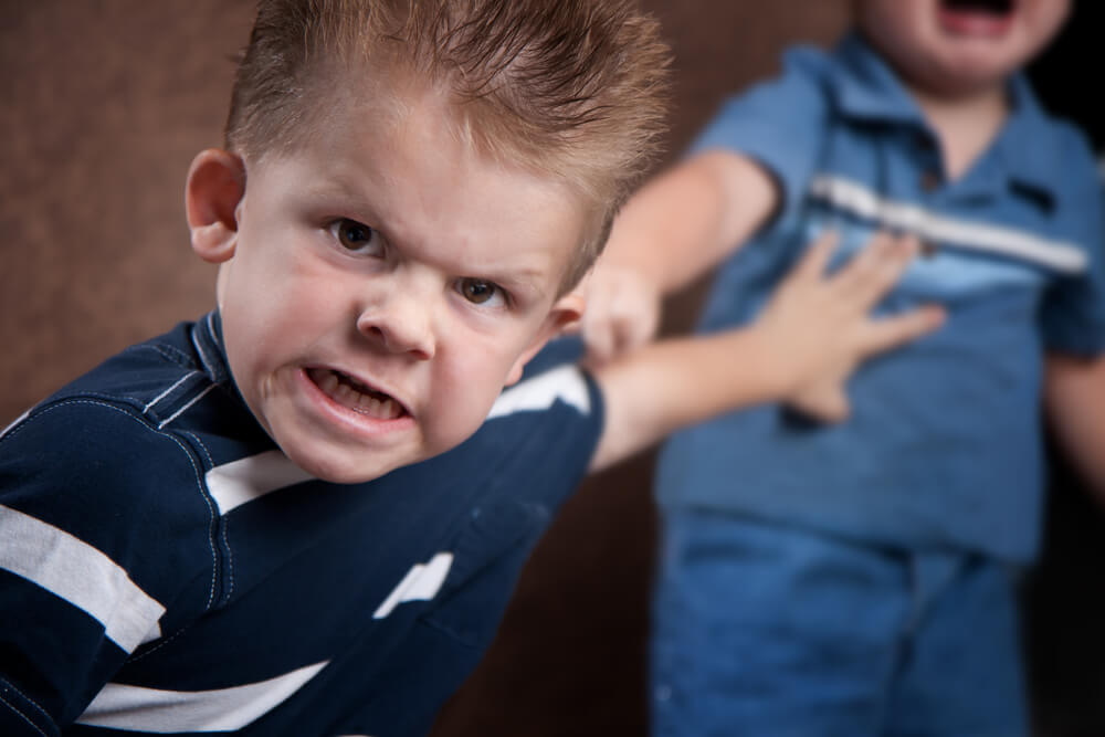 when do the terrible twos start