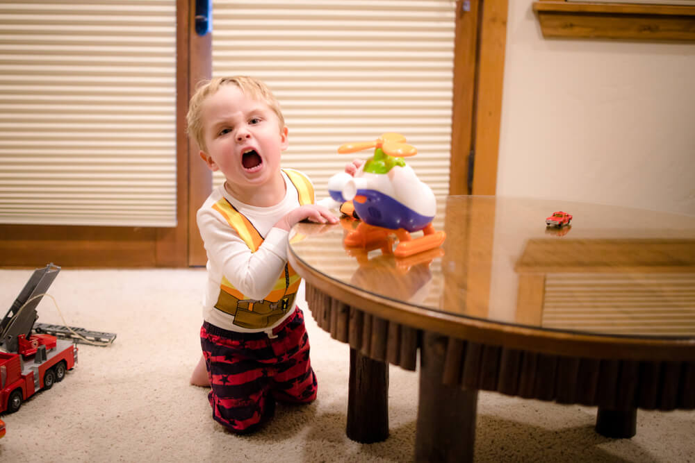 when does terrible twos start