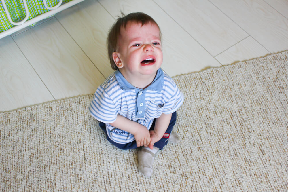 what are the terrible twos
