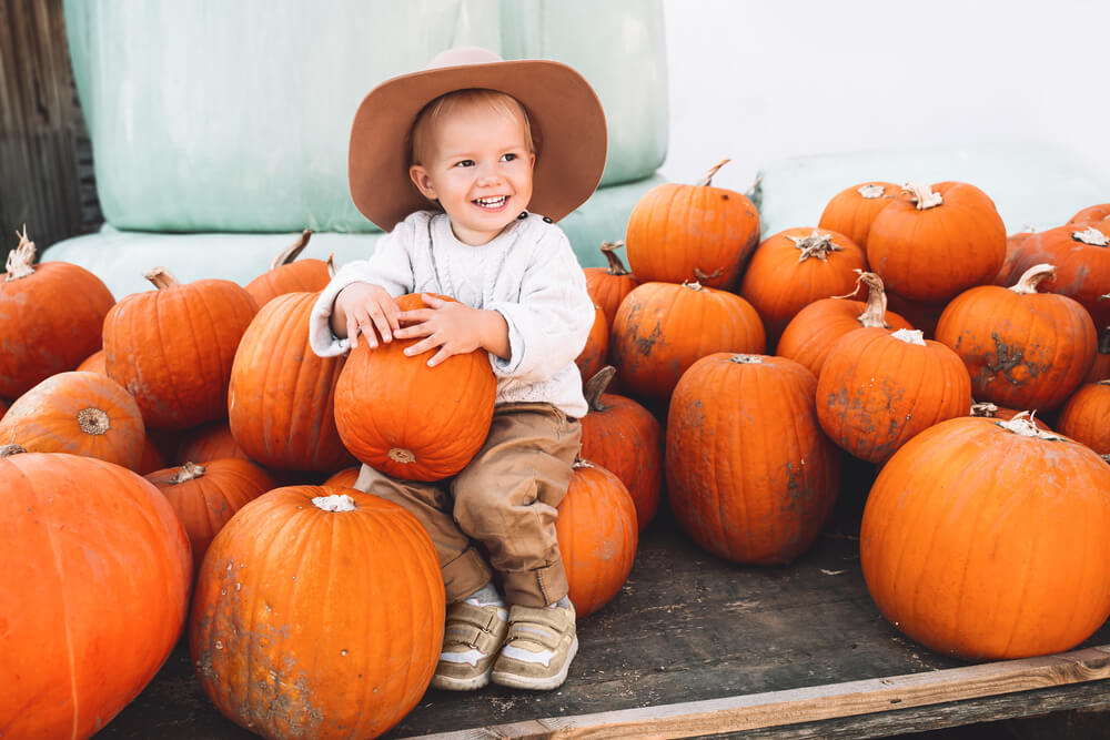things to do in fall near me