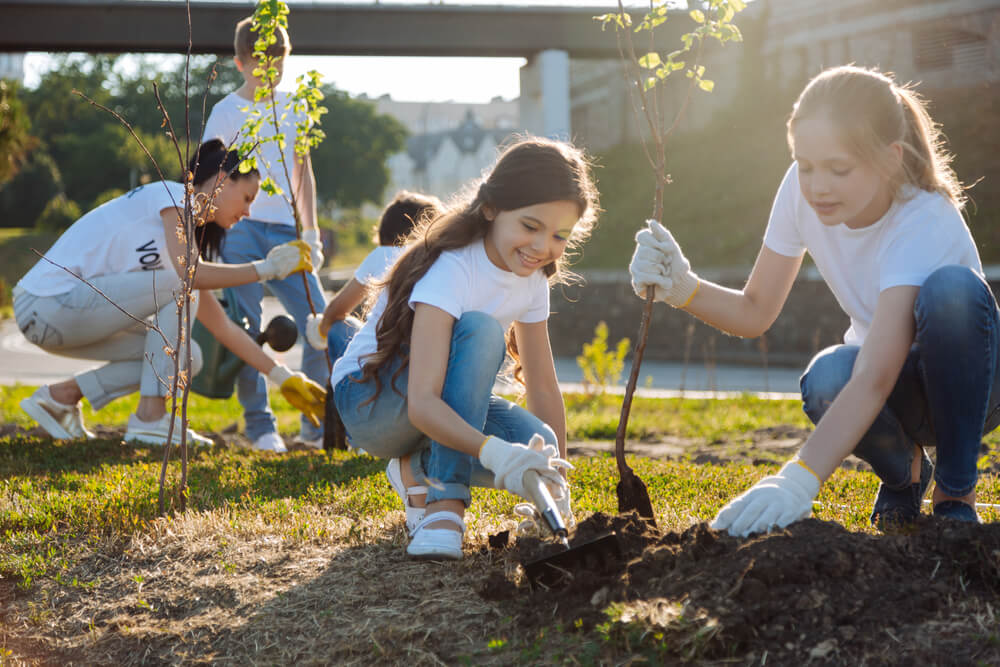 teen volunteer opportunities
