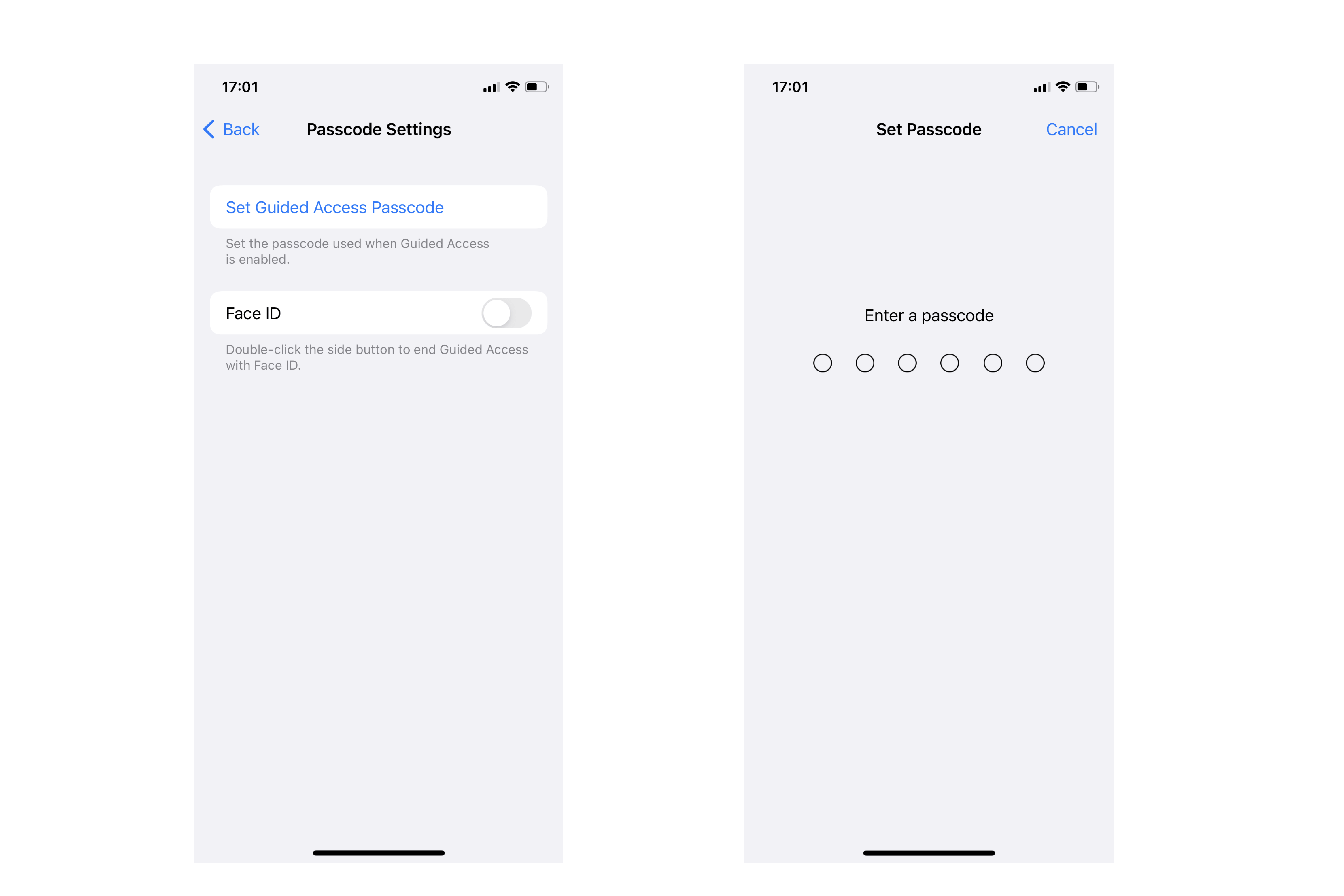 how to use guided access