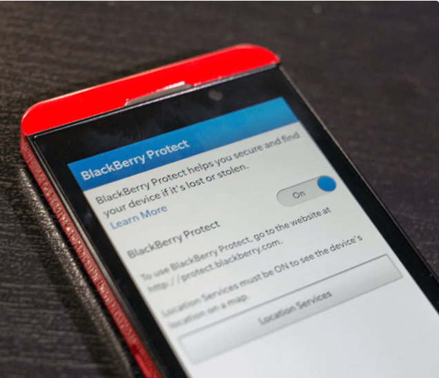 blackberry protect