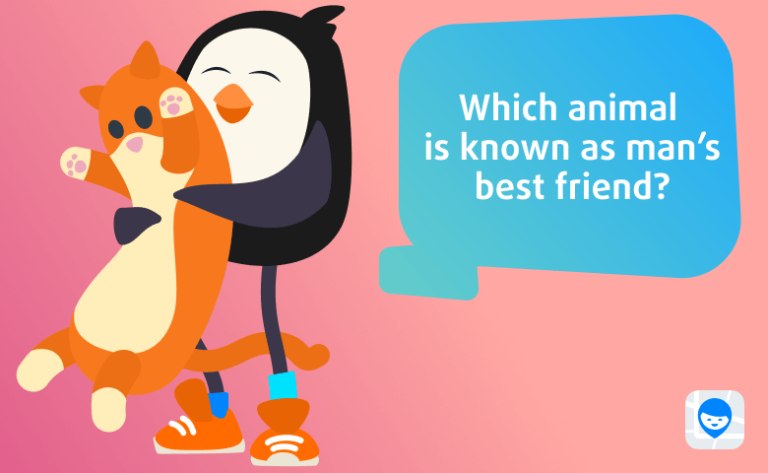 100+ Trivia Questions with Answers for Kids | Findmykids