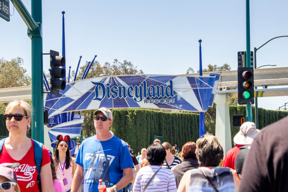 disney adult meaning