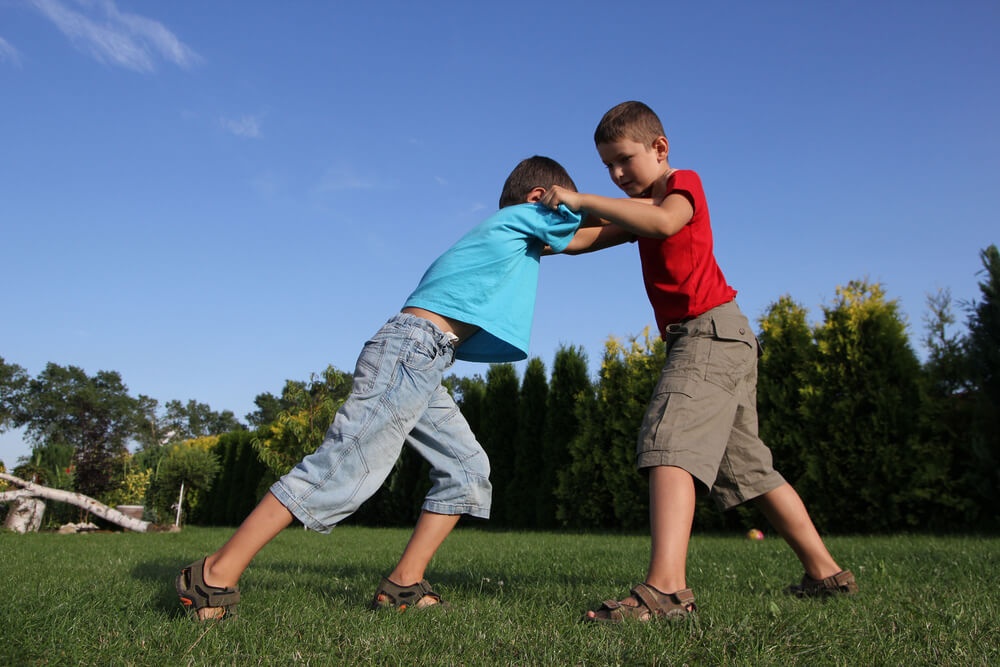 brother and sisters fight