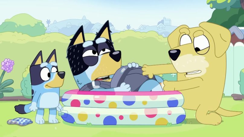 Is Bluey a Girl or Boy Dog? All About Bluey's Gender | Findmykids