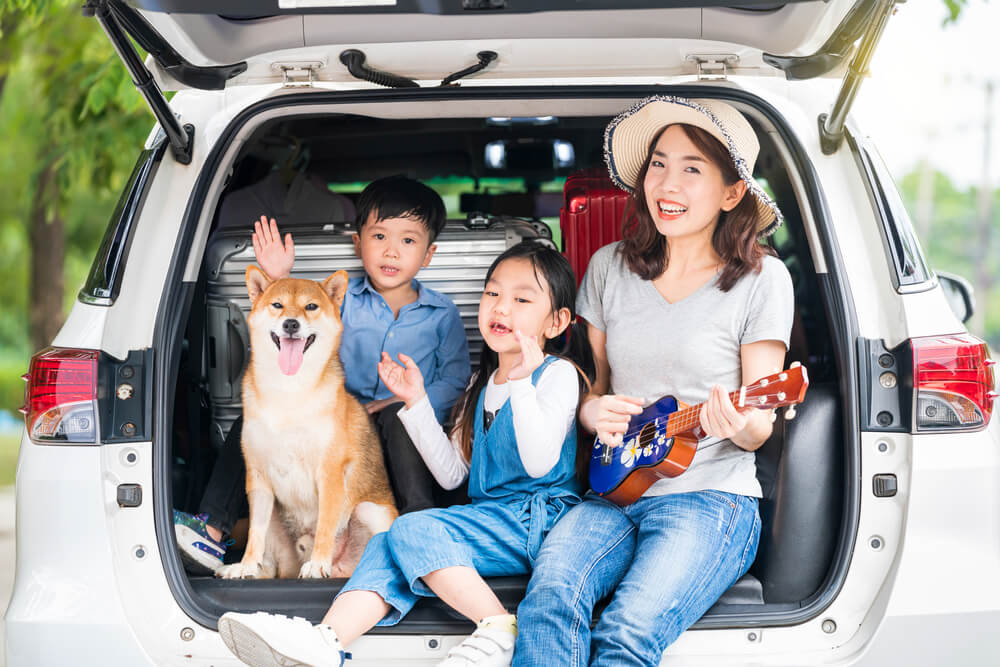 games to play in the car