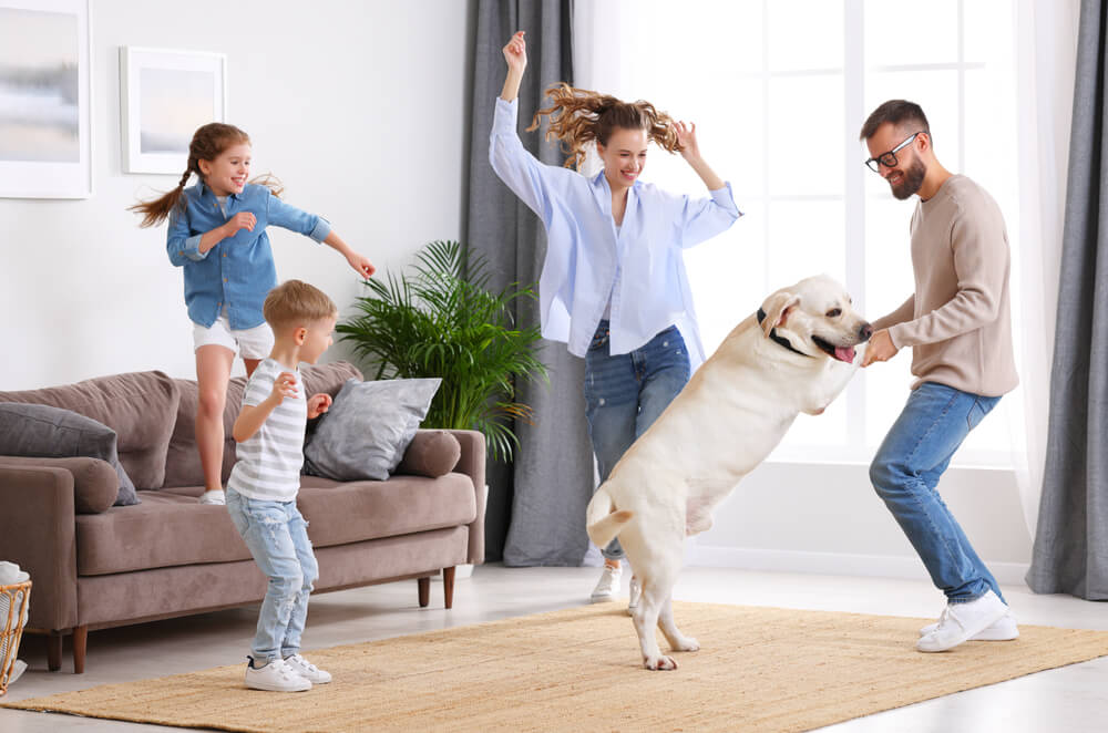 family dynamics examples