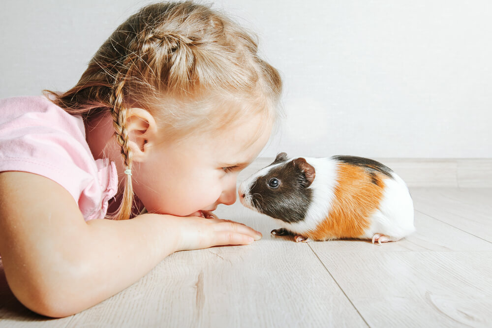 best first pet for kids
