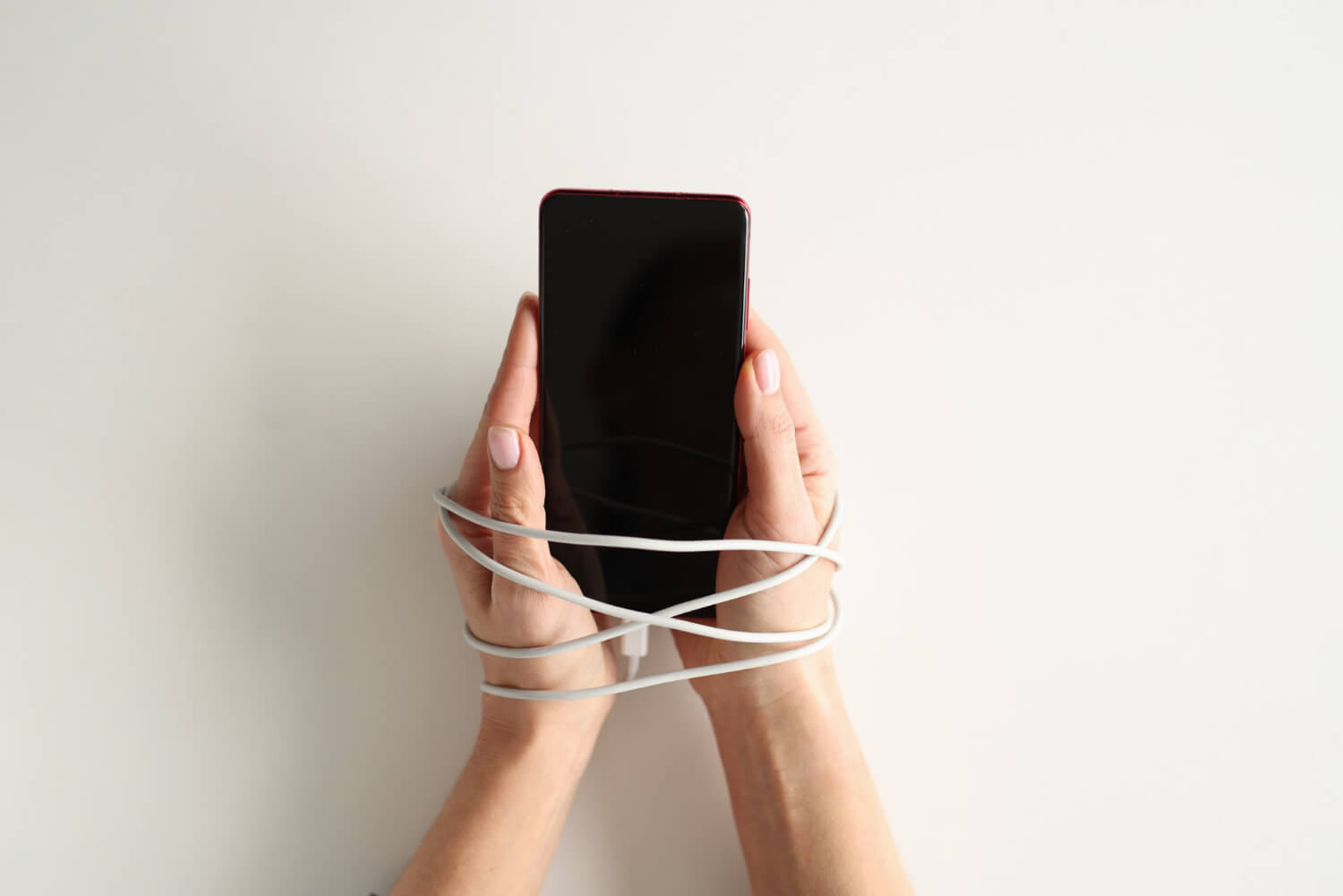 Gallery image with a fresh perspective